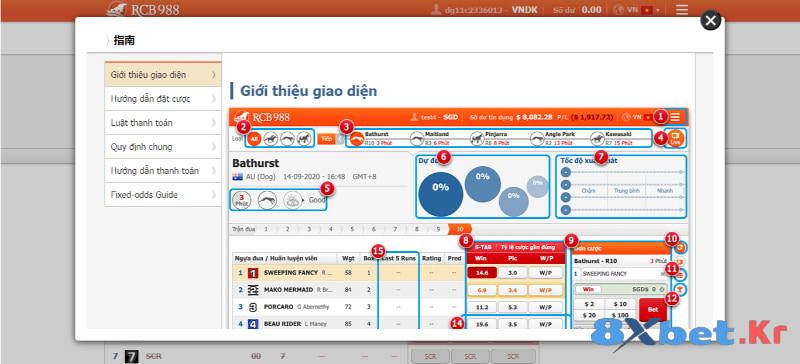 Hướng dẫn chơi cá cược đua ngựa tại 8Xbet