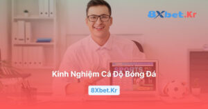 Kinh nghiệm cá độ bóng đá